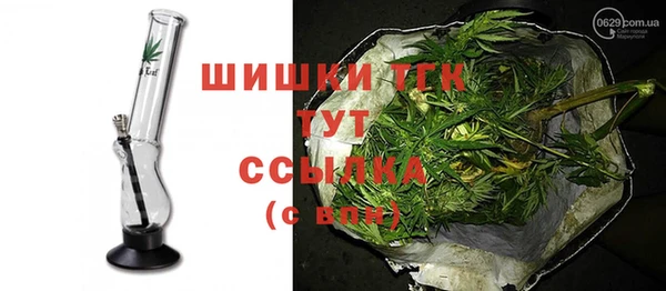 PSILOCYBIN Гусиноозёрск