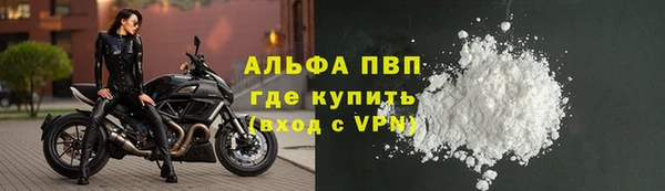 PSILOCYBIN Гусиноозёрск