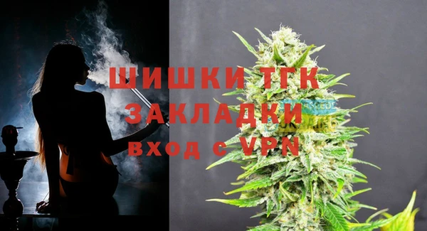 PSILOCYBIN Гусиноозёрск