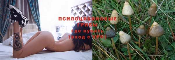 PSILOCYBIN Гусиноозёрск