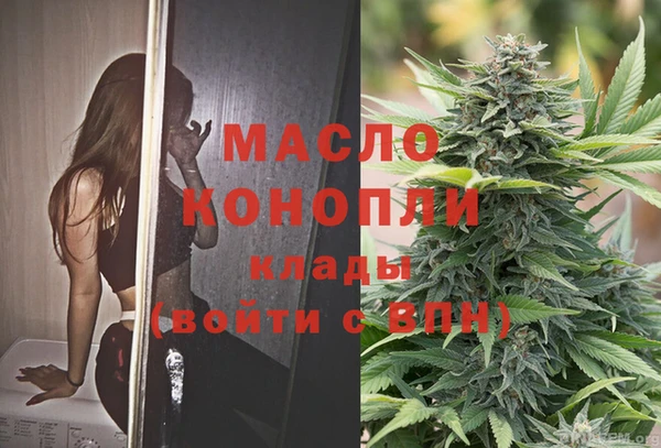 таблы Гусев