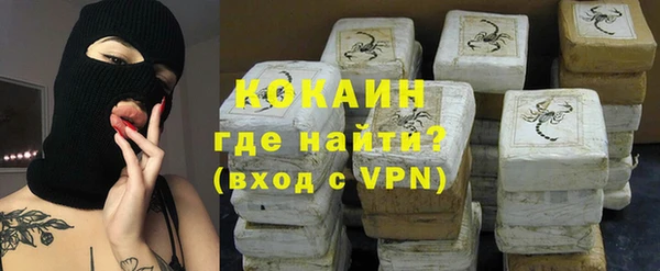 таблы Гусев