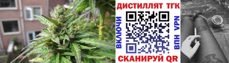 Купить где  Петухово  ТГК концентрат 