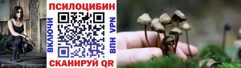 Купить где  Петухово  Галлюциногенные грибы Magic Shrooms 